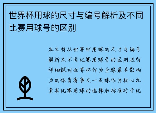 世界杯用球的尺寸与编号解析及不同比赛用球号的区别